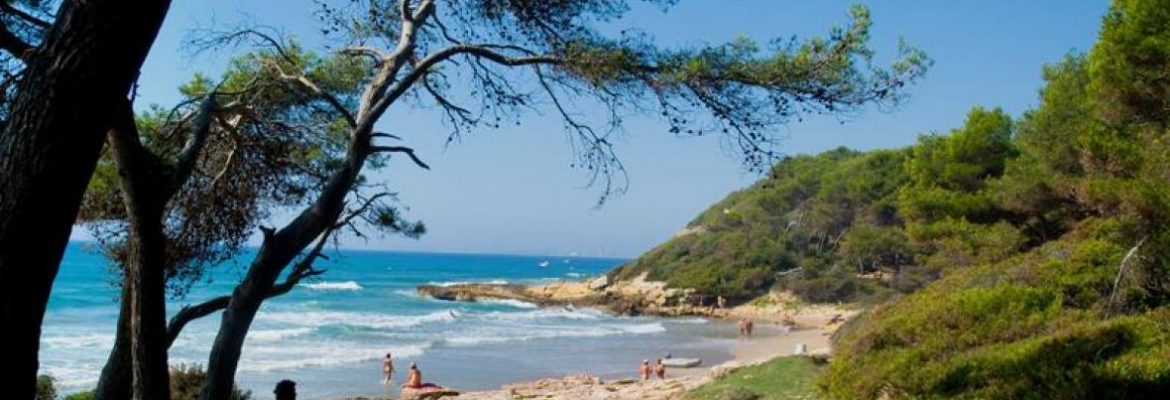 Becs Beach
