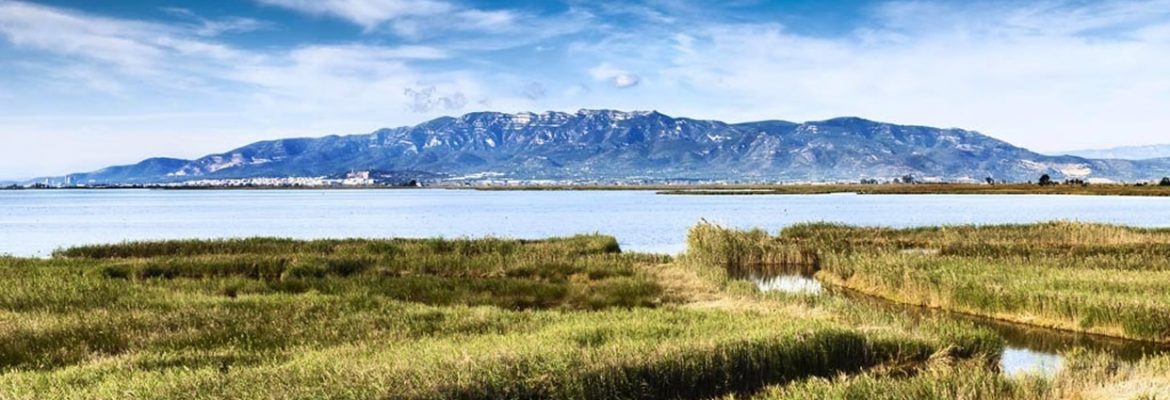 Natural park Delta de l’ebre