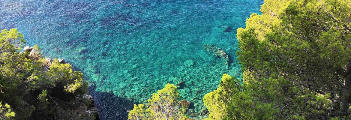 Lloret de Mar & Sailing Catamaran