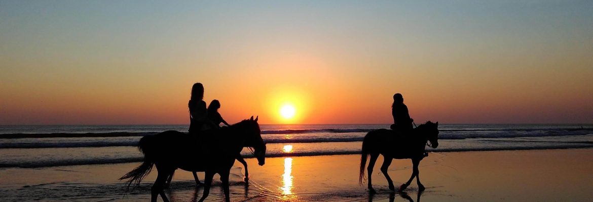 Horse Riding